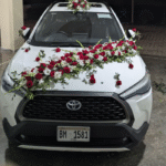 Decent car decor for wading