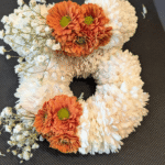 Beautiful 😍 Gajari