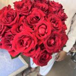 Importad red flowers 🌹