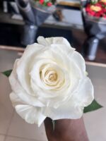 Importad White flower in Sahiwal - Image 3