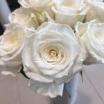 Importad White flower in Sahiwal