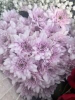 Imported pink Grace flowers display - Image 3