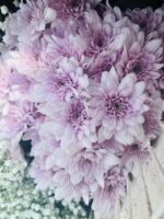 Imported pink Grace flowers display - Image 2