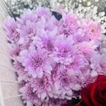 Imported pink Grace flowers display