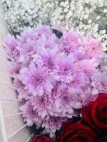 Imported pink Grace flowers display