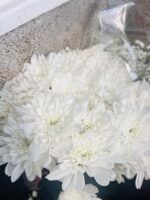 White imported Grace flower - Image 2